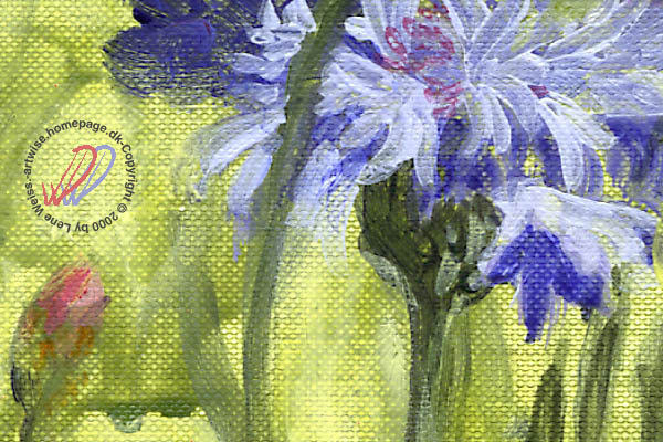 zoom Cornflowers